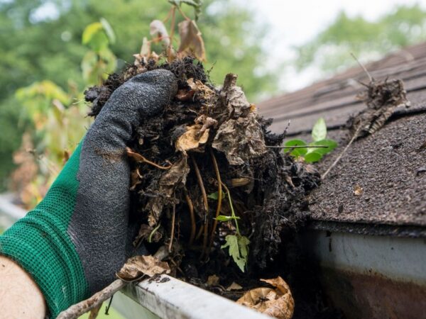 Gutter and Downspout Cleaning